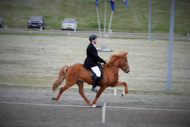 Kristín Lárusdóttir valin í landsliðið í hestaíþróttum