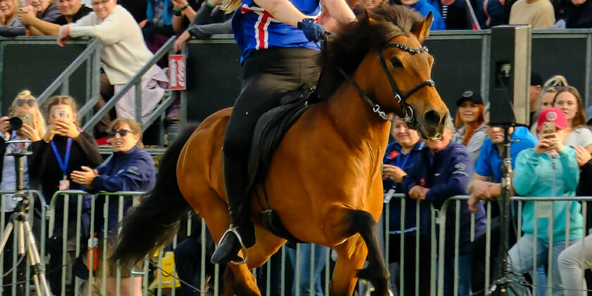 Föstudagsspjallið: Sigríður Ingibjörg Einarsdóttir