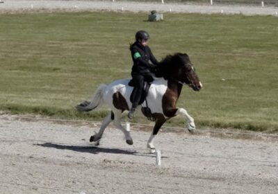 Föstudagsspjallið: Svanhildur Guðbrandsdóttir