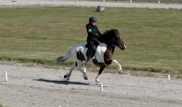 Föstudagsspjallið: Svanhildur Guðbrandsdóttir