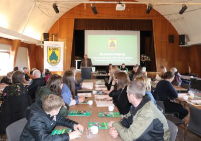 Samantekt frá sambandsþingi