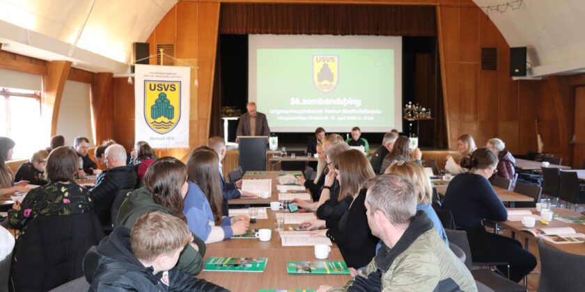 Samantekt frá sambandsþingi