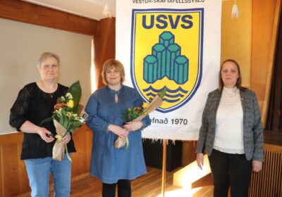 UMFÍ veitti gullmerki og starfsmerki á þingi USVS