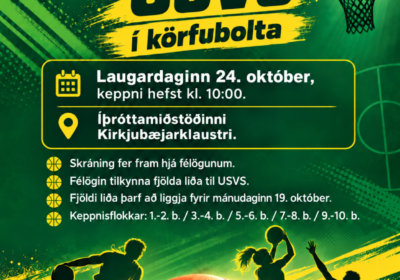 Körfuboltamót